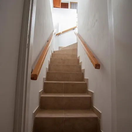 Dorina 2